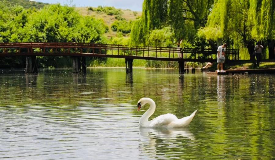 Charming House Lägenhet Pogradec Exteriör bild